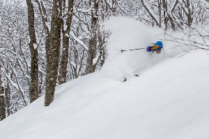 The Siberian Flow Returns - Japan Snow Wrap