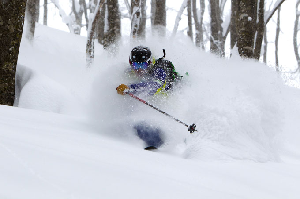 Huge Snowfall Brings Avalanche Deaths - Japan Snow Wrap