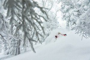 Josh Daiek skiing at Shiga Kogen