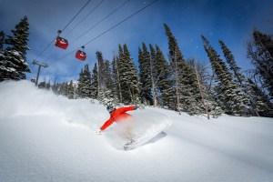 This could be you on our 2019 guided tour to Jackson Hole