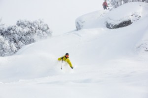 How To Find Pow In Australia - Some Local's Reveal Their Secrets