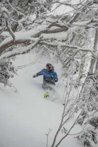 Coen Bennie-Faull, deep in the trees at Buller on Sunday, August 19. Photo: Tony Harrington