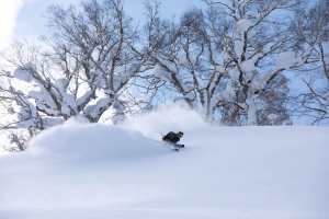 Ikon Pass holders now have 7 days access to Niseko's renowned powder. Photo: Aedan O'Donnell