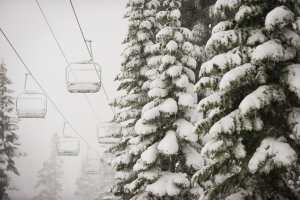 Alpine Meadows this morning after big overnight snowfalls. Photo: Squaw valley Alpine Meadows