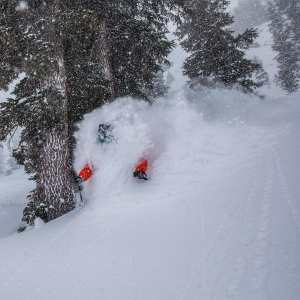 An El Nino could see good snowfalls in the Sierras in February and March, which could mean powder days in  Mammoth like this one last March. Bernie Rosow getting deep. Photo: Christian Pondella.