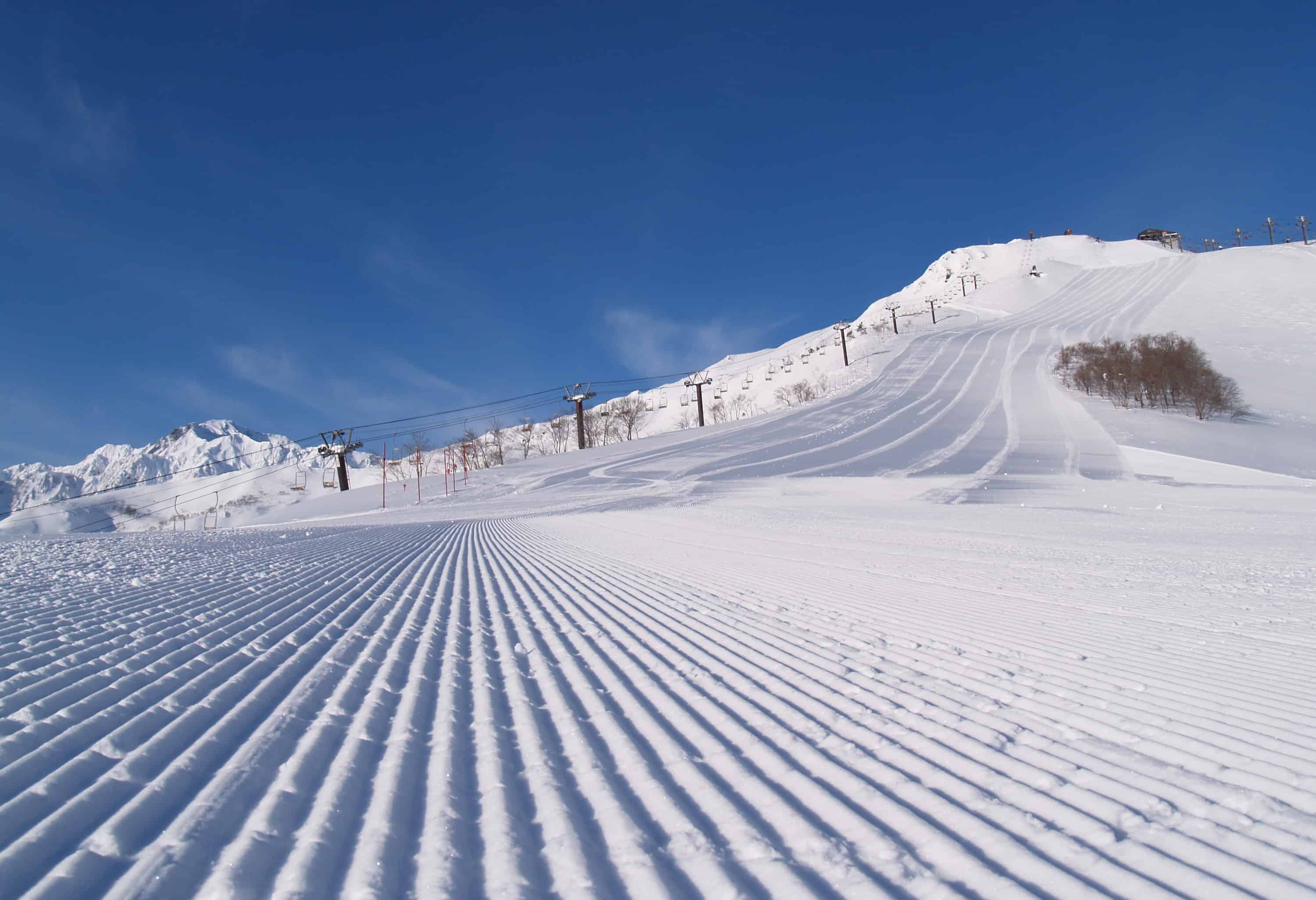 Perfect groomers on a perfect day at Happo-One. 