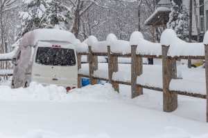 It's looking like winter today in Niseko after 35cms in 24 hours. Photo: Darren Teasdale/Niesko Photography