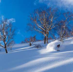 Models are indicating there could be a few more sunny days this year. Sophia Rouches, Suginohara. Photo: Grant Gunderson