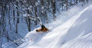 Skiing deep powder is close to as much fun you'll ever have on skis, as long as you have the right equipment and don't have to work too hard!