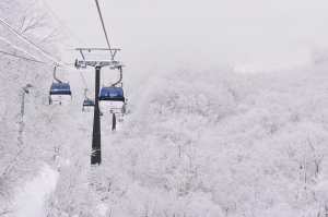 Hakuba Goya looking good on Christmas Eve. It will continue to look like this with a heap of snow on the way over the next five days. Photo: Hakuba Goya Resort