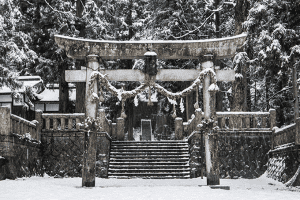 Fresh snow through out the village, The Torii gates looking very pretty! 