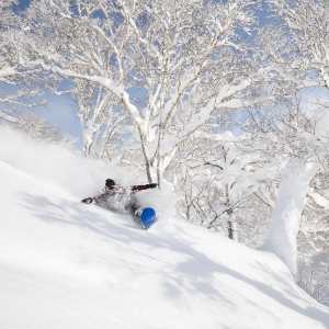 Tommy Steinbacher on a classic day last winter. Is Santa gong to bring similar conditions for Christmas? Photo courtesy Oyuki.