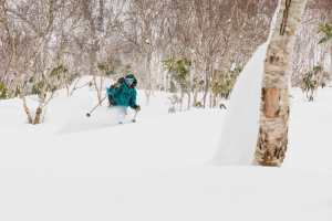 2018-2019 Japanese Snow Season Outlook - December Update