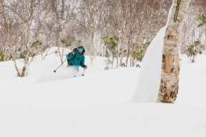 2018-2019 Japanese Snow Season Outlook - December Update