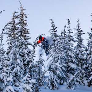 Gabe Taylor, threading Mammoth's trees a couple of weeks ago. More of this on the way with 80cms in the forecast for Mammoth. Photo: Pete Morning 