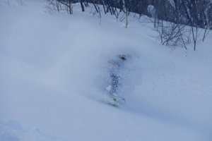 Hakuba on Jan 9, was mighty fine. Photo courtesy @skiingwithstevelee