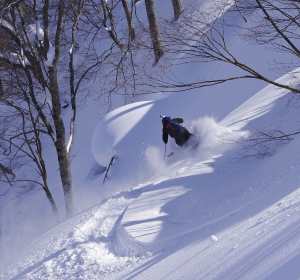 Mikael Landlord enjoying some sunshine in Myoko this week, but the weather has turned wiht more snow on the way.