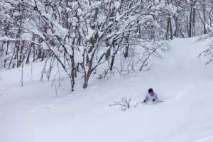 2018-2019 Japanese Snow Season Outlook – January Update