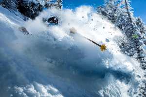 Snowbird has had 1.7 metres in the past week and more is forecast in the next 24 hours before things calm down! Photo: Chris Segal