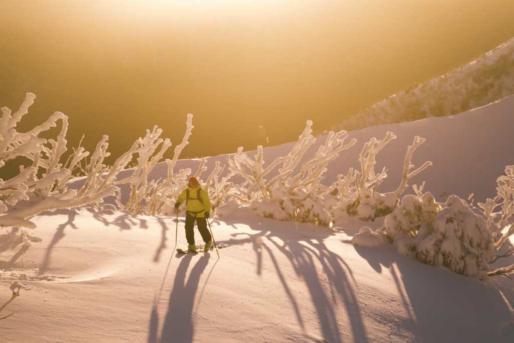 Victorian Backcountry Festival Moves To Hotham For 2019 Mountainwatch