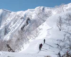 There has been plenty of sunshine in Japan over th east two weeks - some reckon too much, but a tour into the Hakbua backcountry has been worth the effort. However, some sno wis finally on the way. Photo: hakubabackcountrytours