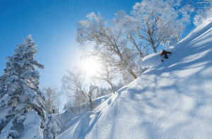 Josh Daiek finding the sweet spot between optimal pitch and pow on a beautiful bluebird day at Shiga Kogen.