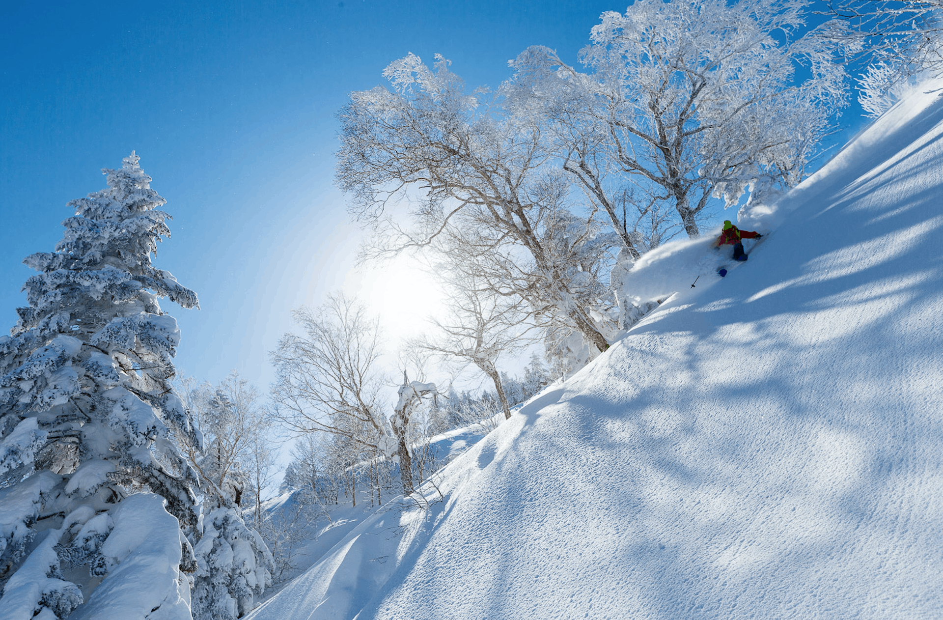 Shiga Kogen Travel