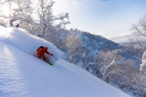 It's now even easier to access incredible conditions like this: Photo: Furano