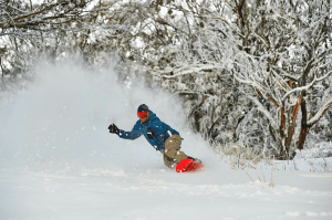Robbie Walker ripping through the gum trees at Buller. Photo: Andrew Railton