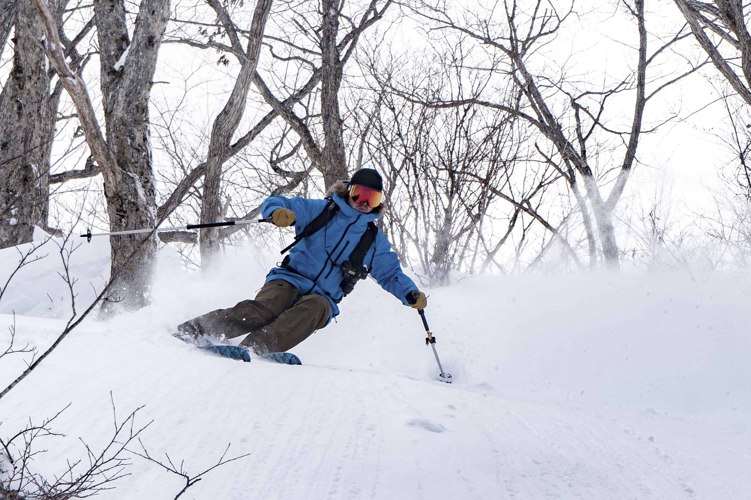 North face free top thinker bib review