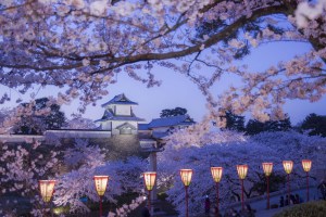 This particular location – Kanazawa Castle – is admittedly not making the following list by virtue of it not being at all ‘lesser known’. But as it would be doing Kanazawa a disservice not to include it all, here it is in all of its cherry blossom (Sakura) glory. Photo:: Kanazawa City