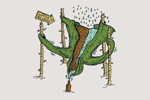 Going Green in Sustainable Mountainwear - Gear Guide