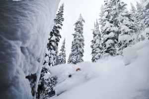 Revelstoke is know for powder - 