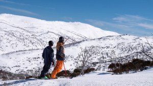 The base slookjign good after last week's snowfalls, currently sitting at 225cms above 1800 metres. Photo: Perisher