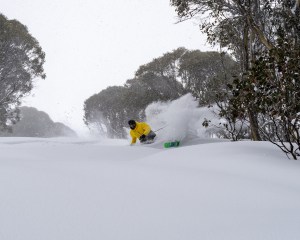 August 8, on elf th days of th year. Photo: Jarryd Sinclair