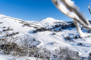 Perisher on a perfect  mid-winter morning.  Photo: Perisher.