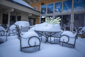 2019-2020 North American Snow Season Outlook - The Grasshopper