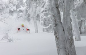 Josh Daiek at Shiga Kogen.This is what skiing Japan is all about and the second half of the season is looking good. Photo: Grant Gunderson