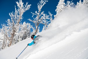 Mitch Reeves, straight off the plane for Australia and his first day in Jackson Hole is a bluebird powder day. Photo: Tony Harrington