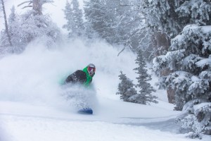 It has been a good week in Utah with 150cms of snow and some epic powder days, Brooks Finlinson, fully stoked in Snowbird.Photo: Justin Olsen
