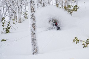 Regular storms have seen big improvement this month with a few epic powder days on both Honshu and Hokkaido. Toshiba Kasuga, getting the goods somewhere in Hokkaido last week. Photo: Oyuki