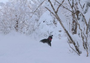 Pure joy in the Appi Kogen side country