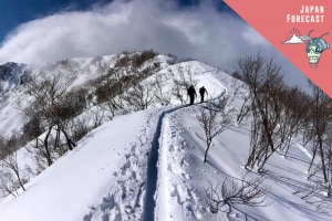Grasshopper's Final 2019-20 Weekly Japanese Forecast – A Mixed Week With Some Big Snowfalls