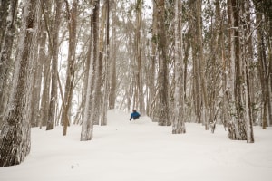 When you ar not from Buller, the first thing you do when skiing Buller is ski down into the Wooly Butts. This magical area is like no-where else on Earth. Skier: Coen Bennie-Faull