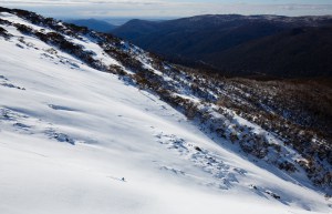 Scott Kneller, dropping in  with plenty of room to move/