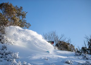 Friday night's snowfalls dropped 15cms across the NSW resorts and 30cms in Victoria. Thredbo, looking like a lot of fun on Saturday morning. Photo: Thredbo