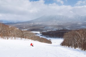 The typical amount of people you’ll share a run with at Hachimantai Shimokura…. Photo:: Matt Wiseman