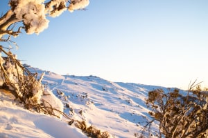 Sunrise in Thredbo. Photo: Thredbo
