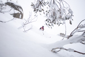 Snow. Say no more Photo: Jimmy Williams