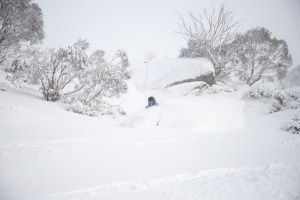 Powder ruiners i Thredbo yesterday after 15cms topped up with dry wind-blown snow. Photo: Thredbo